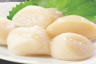 Mua Còi Sò Điệp Nhật Ở Đâu Chất Lượng Đảm Bảo ?