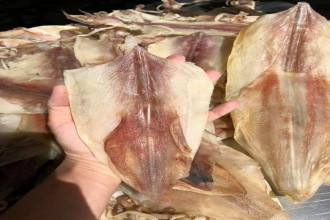 Giá mực khô loại 1 bao nhiêu ? 