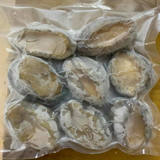 Bào Ngư Nhập Khẩu Hàn Quốc Size to 8-9 con 