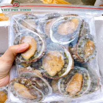 Bào Ngư Việt Nam