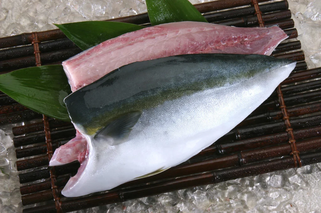 ca-cam-nhat-ban-phile-tuoi (4)