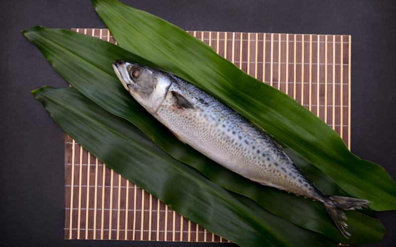 Lợi ích của cá Saba 
