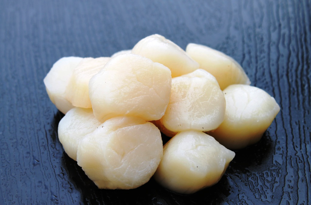 coi-so-diep-dong-lanh (1)