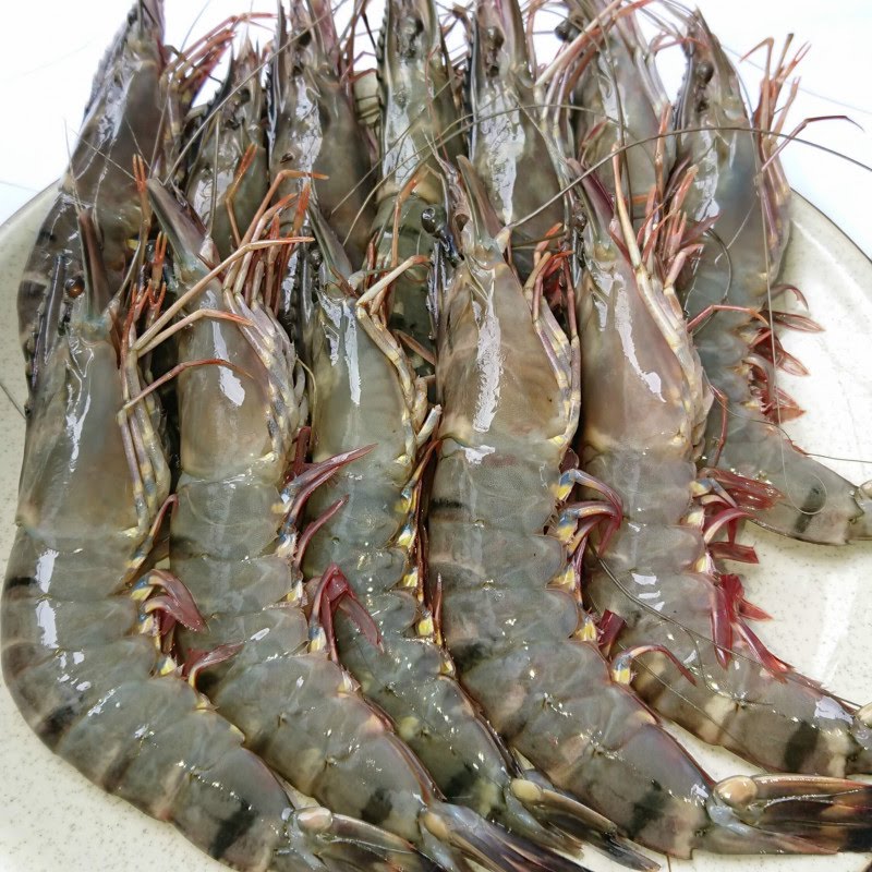 tôm sú 10 con 1kg (2)