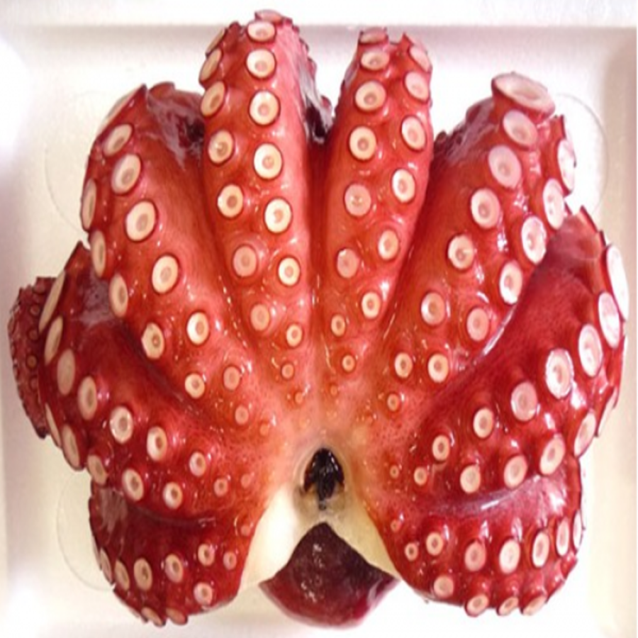 Bạch Tuộc Nhật Sashimi