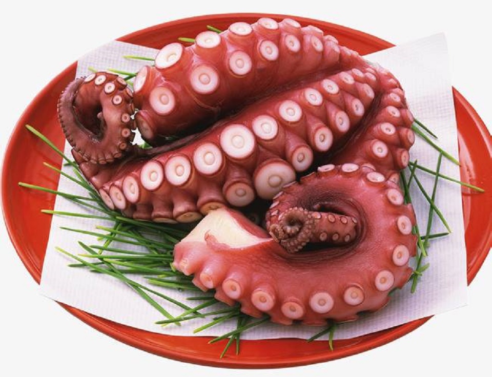 Bạch Tuộc Nhật Sashimi