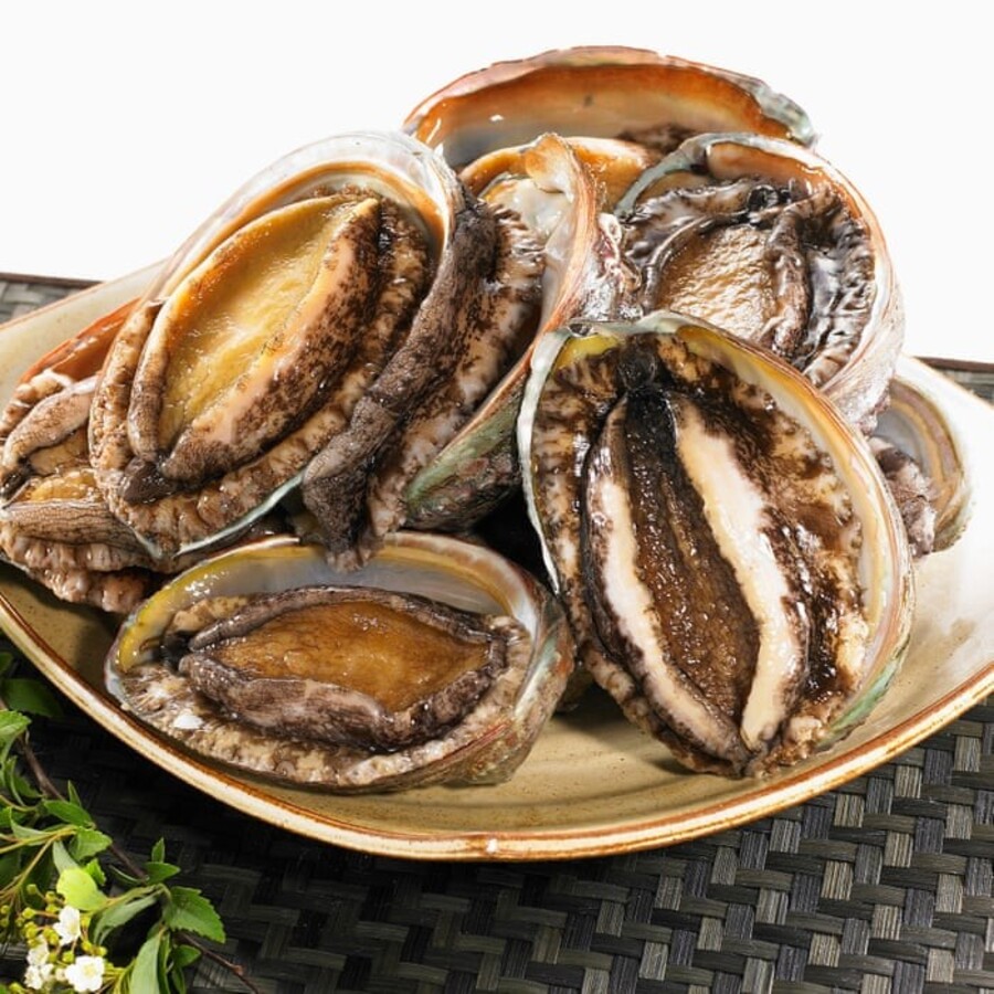 Bào Ngư Hàn Quốc Đông Lạnh Size 10-12 con/1kg