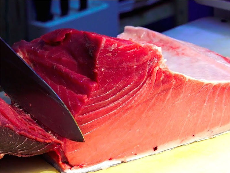 Cá Ngừ Vây Xanh - Chutoro Nhật Bản