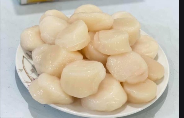 Cồi Sò Điệp Nhật Bản