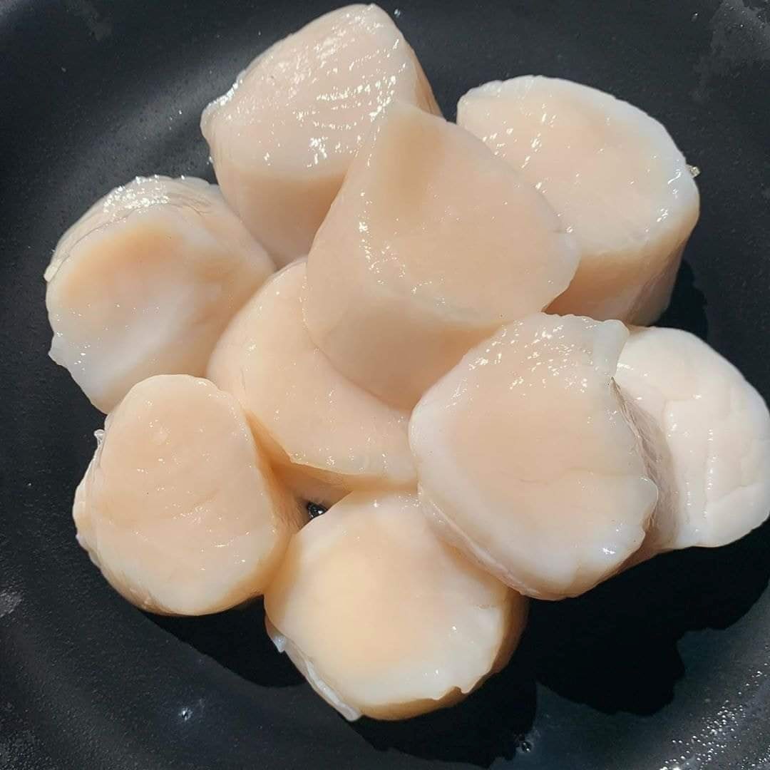 Cồi Sò Điệp Nhật Bản