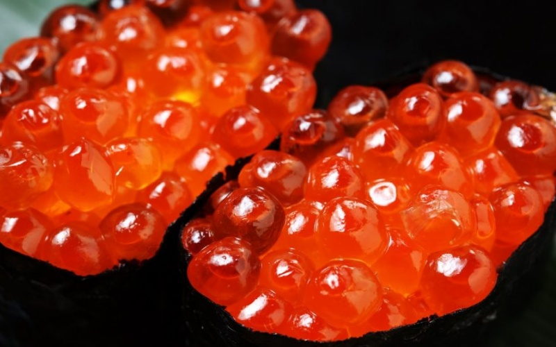 Trứng Cá Hồi Nhật