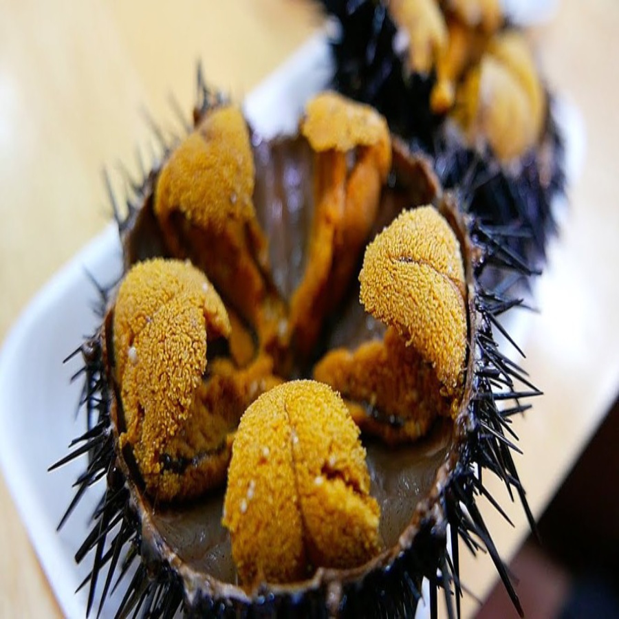 Trứng Nhum Sashimi